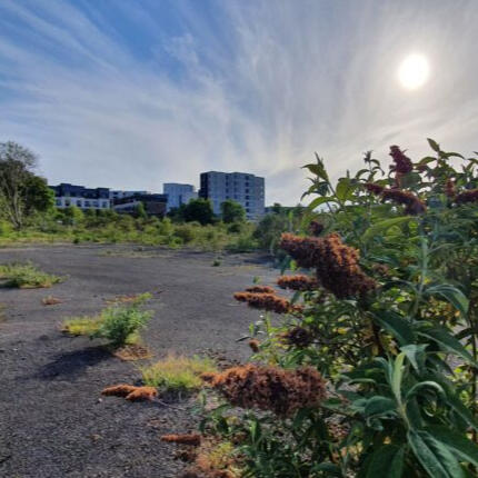 Lockdown Landscapes