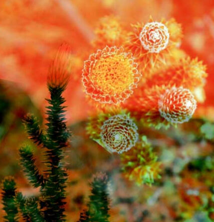 Lo que la montaña cuenta