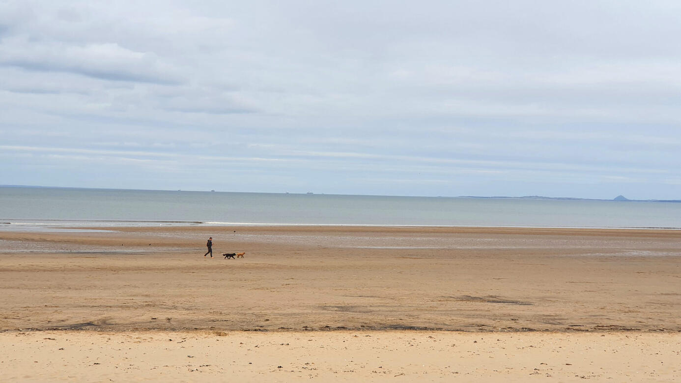 Portobello Portobello